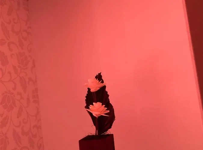 Apartment Criss Constanta